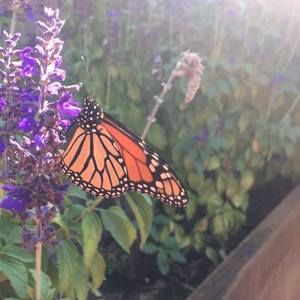 Meet your Posher, Miriam